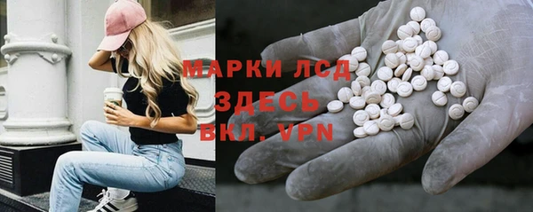apvp Гусев