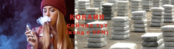 apvp Гусев