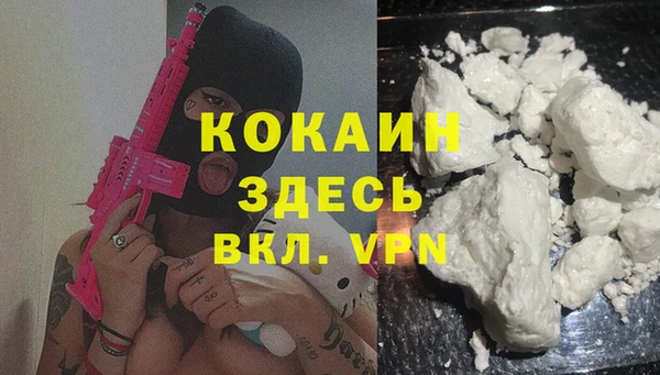 прущие грибы Гусь-Хрустальный
