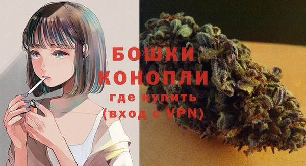 прущие грибы Гусь-Хрустальный