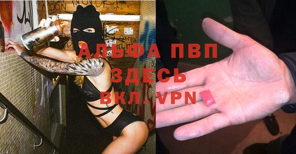 прущие грибы Гусь-Хрустальный