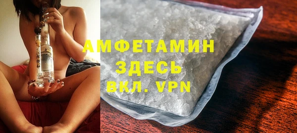 apvp Гусев