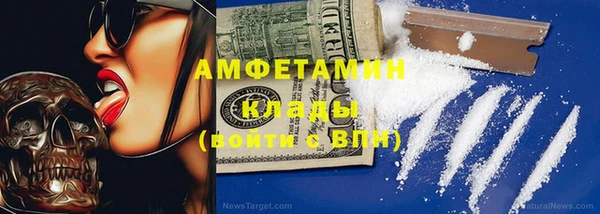 прущие грибы Гусь-Хрустальный