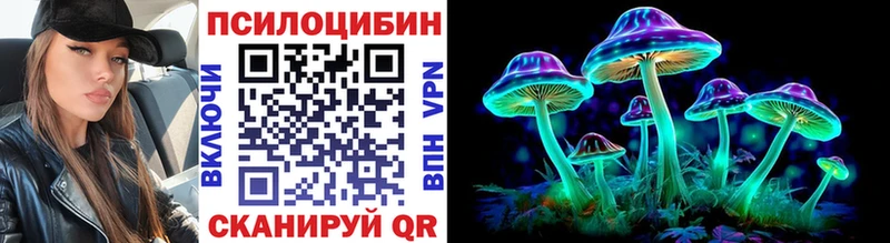 Купить  Каргополь  Галлюциногенные грибы Psilocybe 
